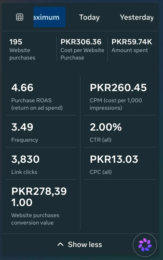 Meta Ads Manager screenshot showing 195 purchases and 4.66 ROAS.