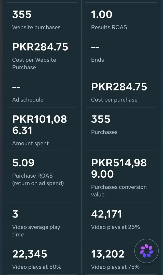 Meta Ads Manager screenshot showing 355 purchases and 5.09 ROAS.