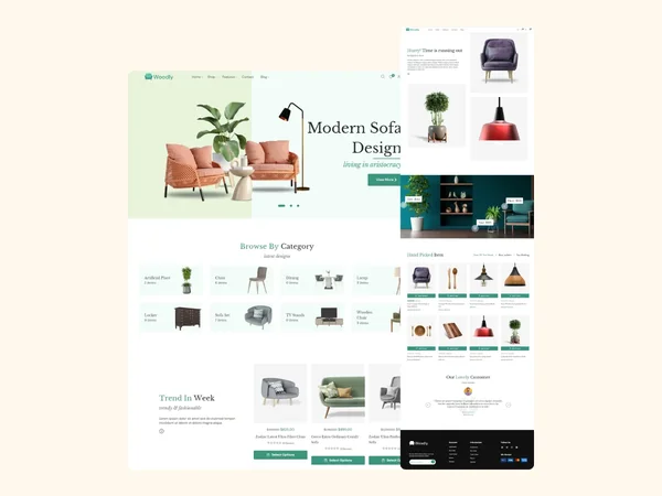 Furniture Store website development overview